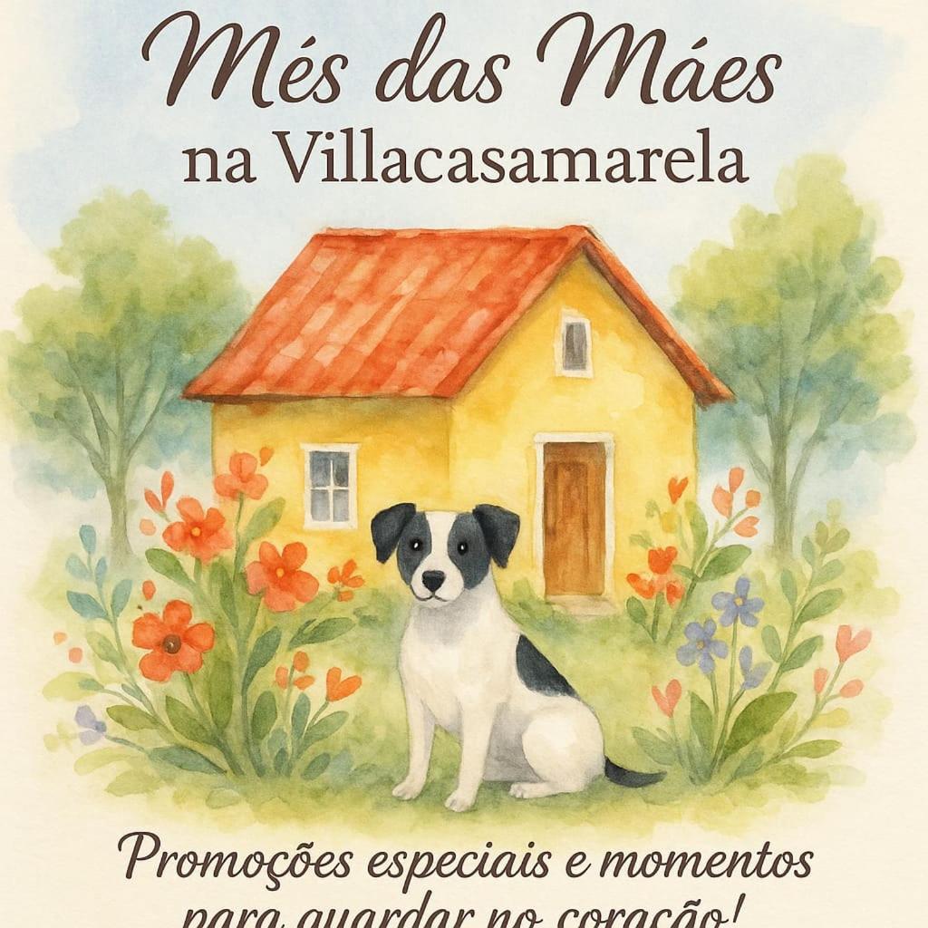 Villacasamarela Mini Casinhas De Hospedes Rio Vermelho Florianópolis Екстериор снимка